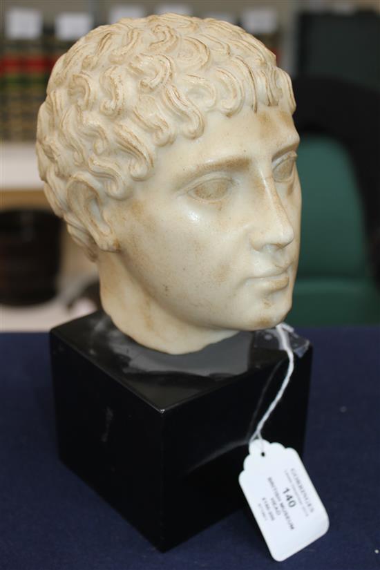 A British Museum simulated marble classical head, 10in.